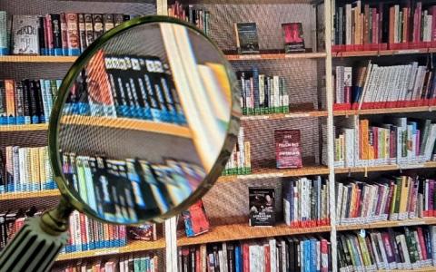 Bibliothek unter der Lupe
